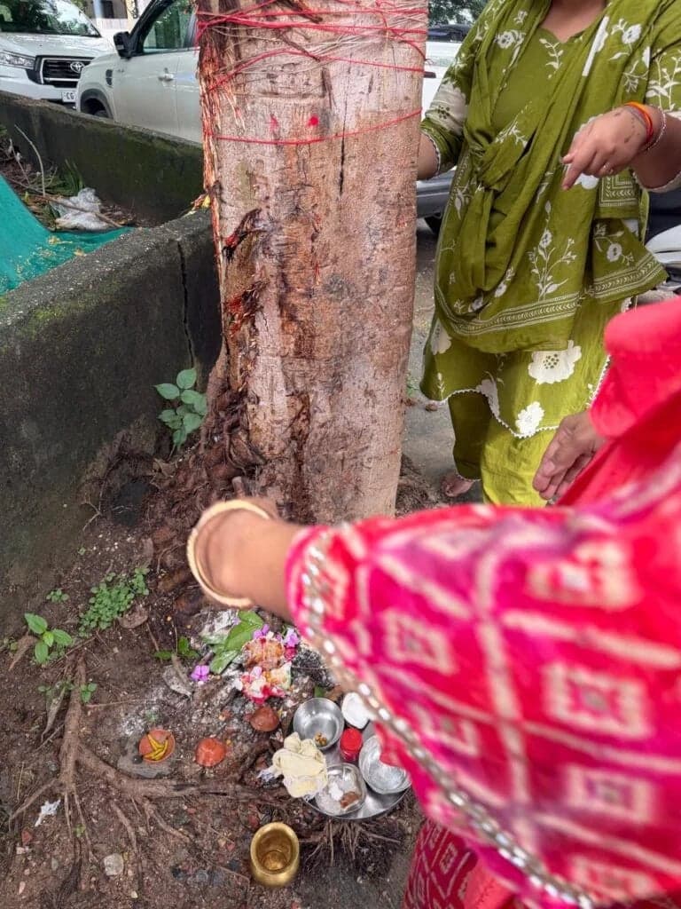 गोगड़ा पर्व की धूम, नाग पंचमी पर पूजा