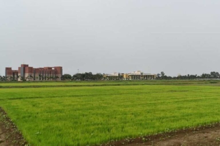 विलंबित मानसून के बीच धान किसानों के लिए आईसीएआर-एनआईबीएसएम की विशेष सलाह