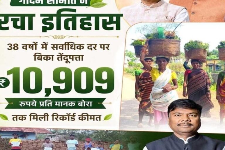 गीदम समिति ने रचा इतिहास, 38 वर्षों में सबसे अधिक कीमत पर बिका तेंदूपत्ता