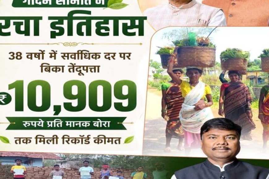 गीदम समिति ने रचा इतिहास, 38 वर्षों में सबसे अधिक कीमत पर बिका तेंदूपत्ता
