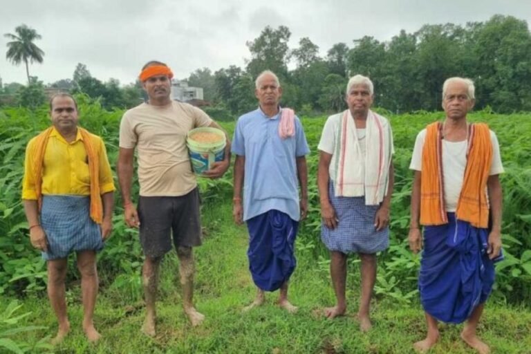 लैलूंगा के पाकरगांव के सुगंधित जवांफूल चावल की खुशबू पहुंच रही मुख्यमंत्री निवास तक