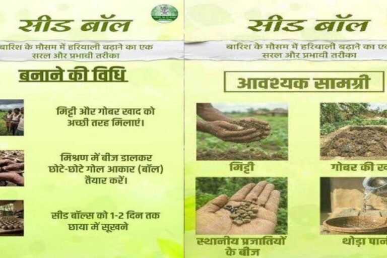 सीड बॉल अभियान- हरियाली बढ़ाने का सरल और प्रभावी माध्यम