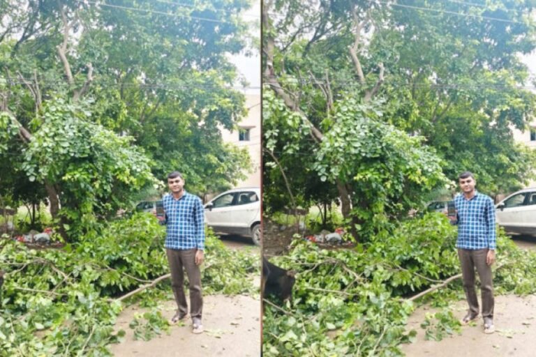 मुख्यमंत्री हेल्पलाइन से मिला त्वरित समाधान, बिजली तार से टकरा रही पेड़ की डालियां हटीं, बड़ा हादसा टला