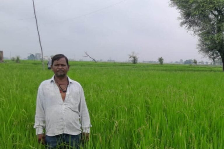 गलत धान बीज से किसानों की लाखों की फसल चौपट, फर्म संचालक पर कार्रवाई की मांग