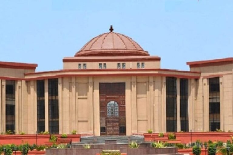 आवारा कुत्तों और मवेशियों पर हाईकोर्ट सख्त! राज्य सरकार से मांगी जवाबदेही, 22 सितंबर तक प्रगति रिपोर्ट तलब