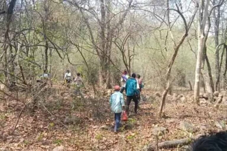 CG Crime News: 9वीं के छात्र का जंगल में मिला शव, चेहरे पर पत्थर से हमला, हत्या की आशंका