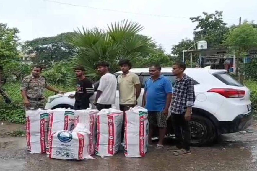 CG में नशा तस्करों पर बड़ा प्रहार, 1 करोड़ का गांजा जब्त; फर्जी नंबर प्लेट वाली कार समेत 3 गिरफ्तार