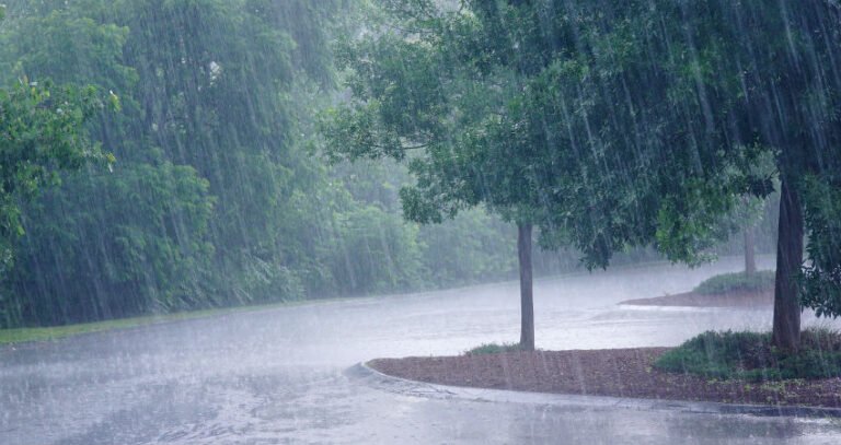 छत्तीसगढ़ में मानसून सक्रिय, अधिकांश जिलों में वर्षा के आसार