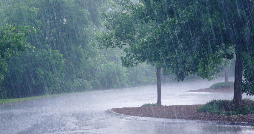 छत्तीसगढ़ में मानसून सक्रिय, अधिकांश जिलों में वर्षा के आसार
