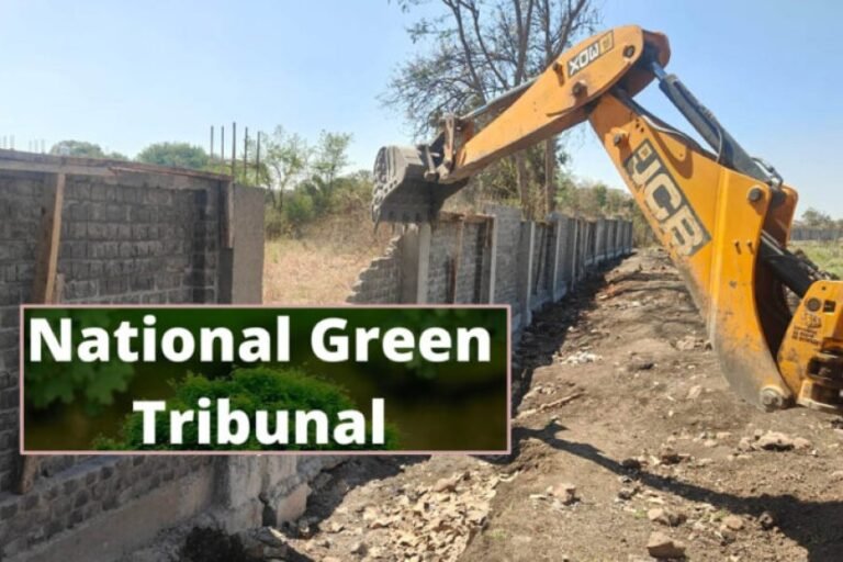 भोज वेटलैंड पर NGT सख्त, 50 मीटर FTL के भीतर सभी अवैध कब्जे हटेंगे; 31 अगस्त तक मांगी रिपोर्ट