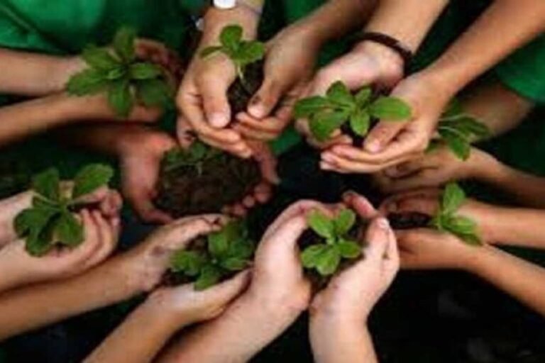 जबलपुर में आज 11 लाख पौधों का महाअभियान, ‘एक पेड़ मां के नाम’ से हरित मध्यप्रदेश को मिलेगी नई पहचान