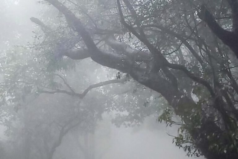 एल नीनो के बीच राहत की उम्मीद, पॉजिटिव IOD से सुधरेगा मानसून