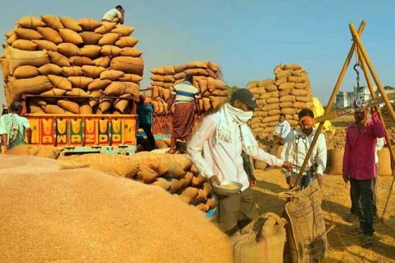 MP Krishi Mandi Categorization: 6 करोड़ कमाई और 2.5 लाख टन आवक पर मिलेगी ‘क’ श्रेणी, जानें मध्य प्रदेश सरकार का नया फॉर्मूला