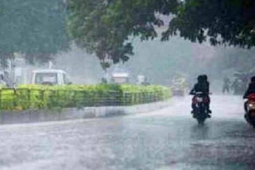 CG में झमाझम बारिश से तरबतर रायपुर-मुंगेली, उत्तर छत्तीसगढ़ में 24 घंटे भारी बारिश का अलर्ट