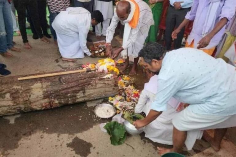 बस्तर दशहरा की पहली रस्म ‘पाट जात्रा’ संपन्न, शुरू हुआ ऐतिहासिक पर्व का आगाज