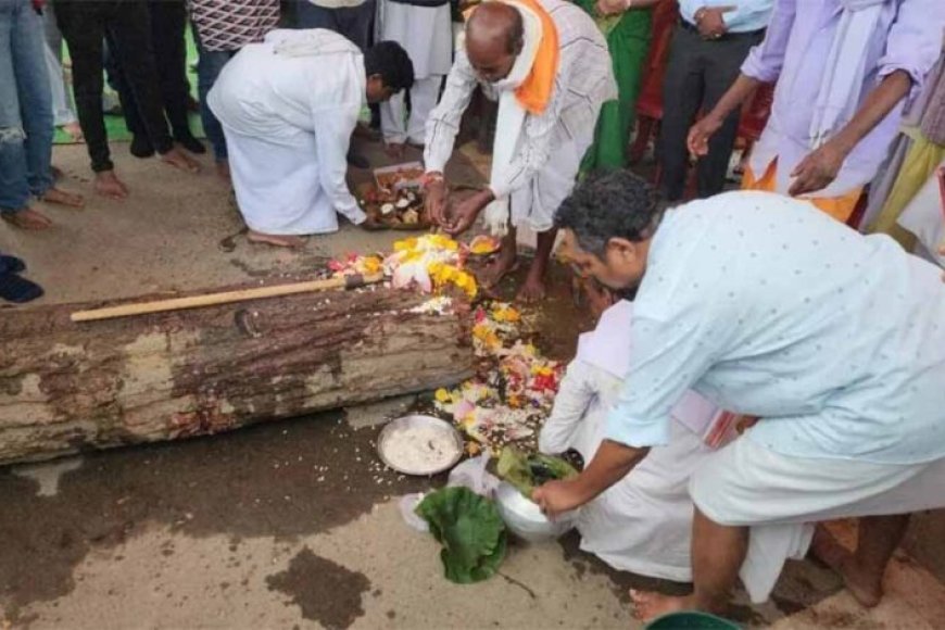 बस्तर दशहरा की पहली रस्म ‘पाट जात्रा’ संपन्न, शुरू हुआ ऐतिहासिक पर्व का आगाज
