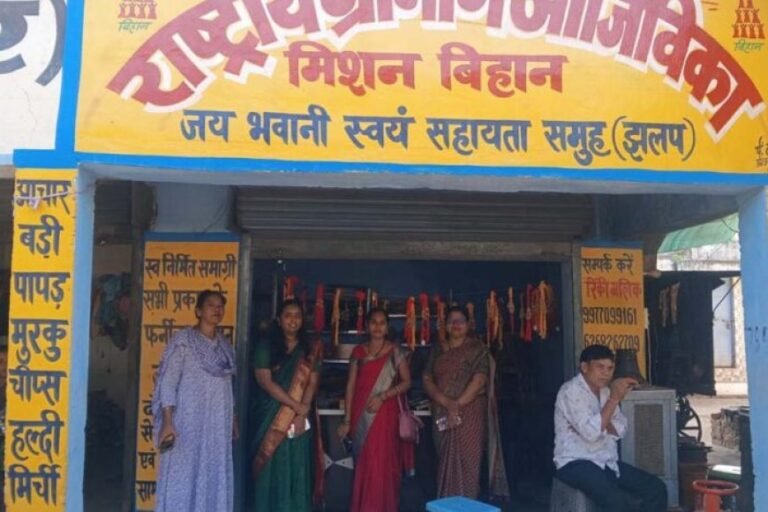 सीईओ अनुपमा आनंद ने झलप में पीएम सूर्य घर योजना और बिहान समूह की आजीविका गतिविधियों का किया निरीक्षण